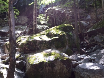 Abbaye Saint-Martin de Canigou